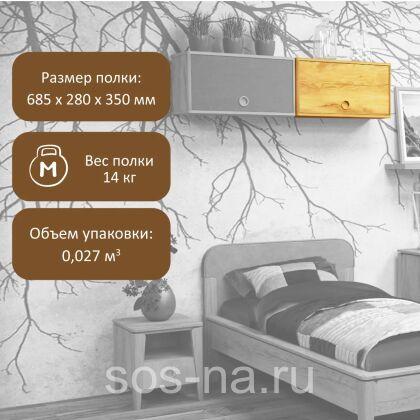 Полка закрытая Тэль